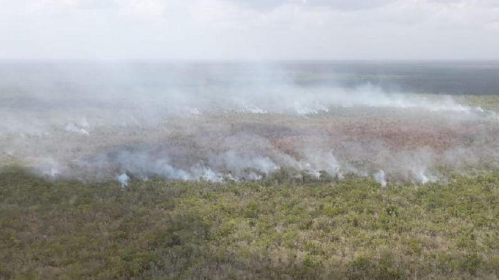 Reserva de la Biosfera de Sian Ka’an en peligro por incendio forestal