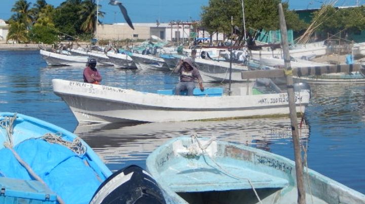 Pescadores de Hunucmá ponen pausa a la actividad en la mar