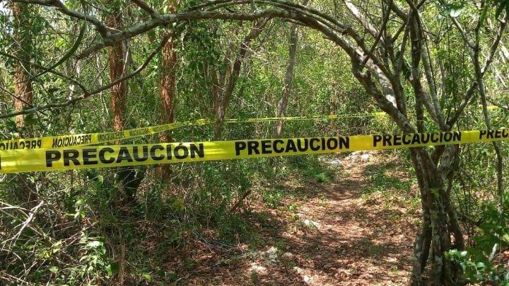 Joven se suicida en la rama de un árbol en Chemax, Valladolid