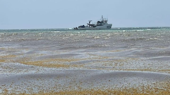 Se hunde barco sargacero de la Semar en Playa del Carmen