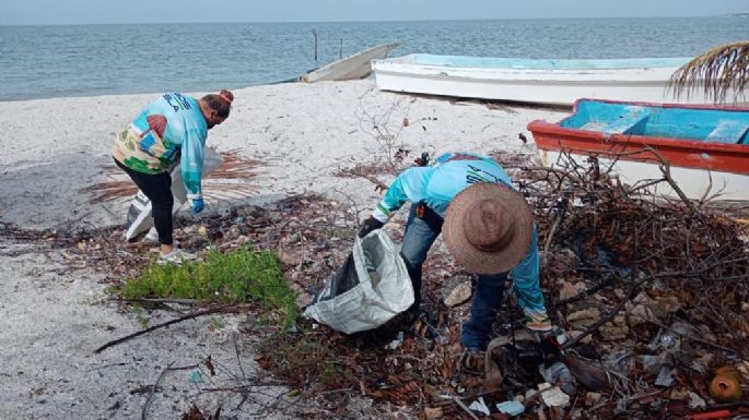 Ambientalistas realizan limpieza de manglares en Ciudad del Carmen