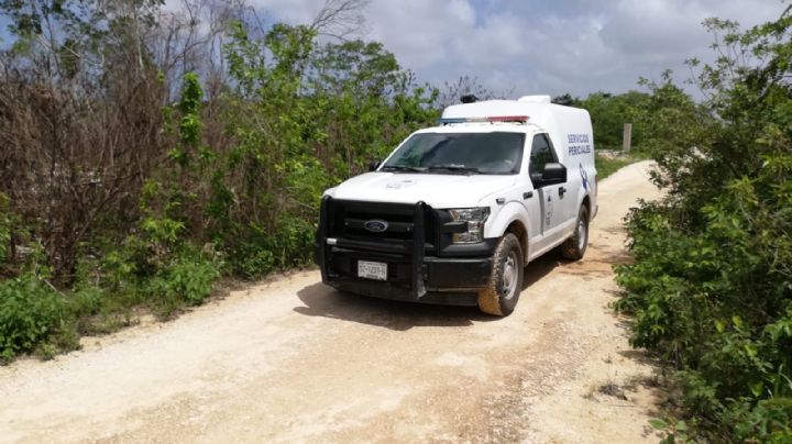 Hallan cuerpo descuartizado en la Región 225 de Cancún