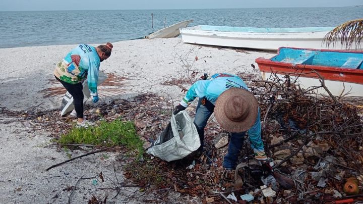 Ambientalistas realizan limpieza de manglares en Ciudad del Carmen