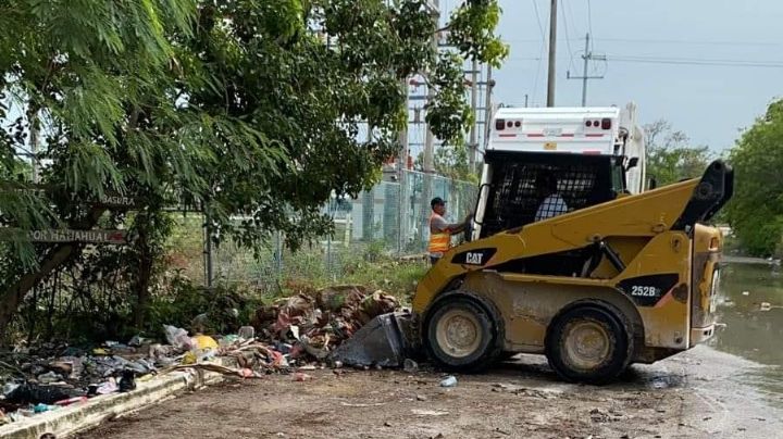 Desmantelan basurero clandestino en la colonia 'Las Casitas' en Mahahual