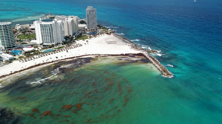 Cancún: Así se ve la invasión de sargazo en Playa Fórum