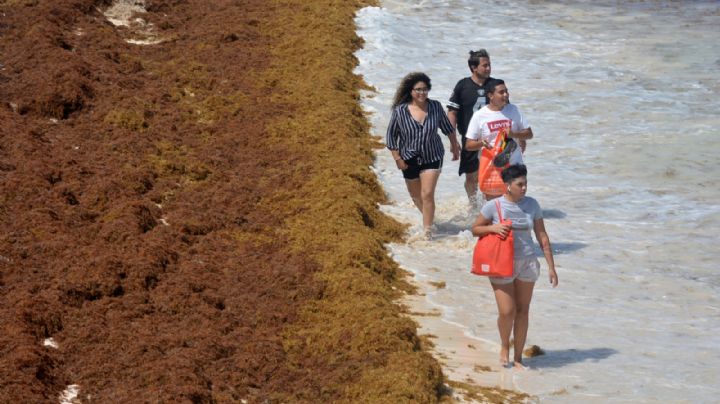 Sargazo pone en ‘riesgo alto’ a 17 playas de Quintana Roo