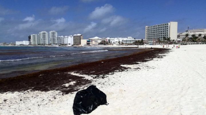 Estas son las playas más limpias de sargazo en Quintana Roo este 24 de junio