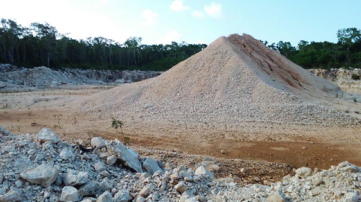 Empresa ABC causa ecocidio en el terreno 'Balamtun' de Playa del Carmen