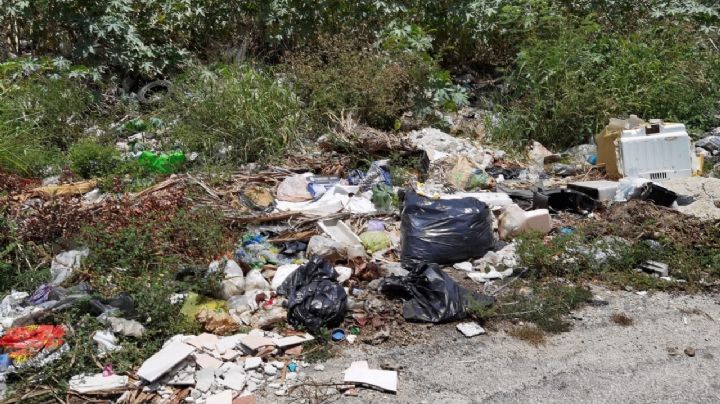Recoja de basura en Campeche supera las 200 toneladas diarias