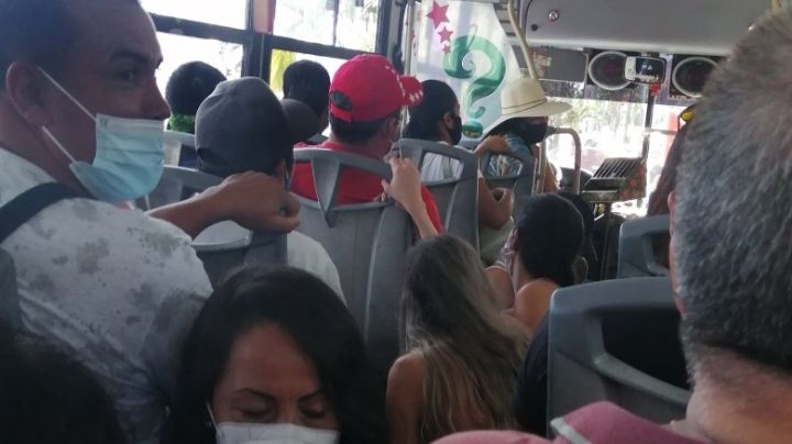 Exhiben a chofer que pide a pasajeros 'esconderse' de los inspectores en Cancún
