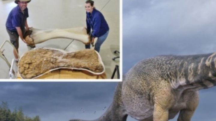 Identifican restos óseos de dinosaurio gigante en Australia