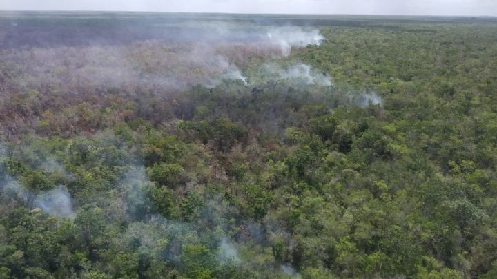Se reactiva incendio forestal zona 'Pucté Norte' en la Reserva de Sian ka´an