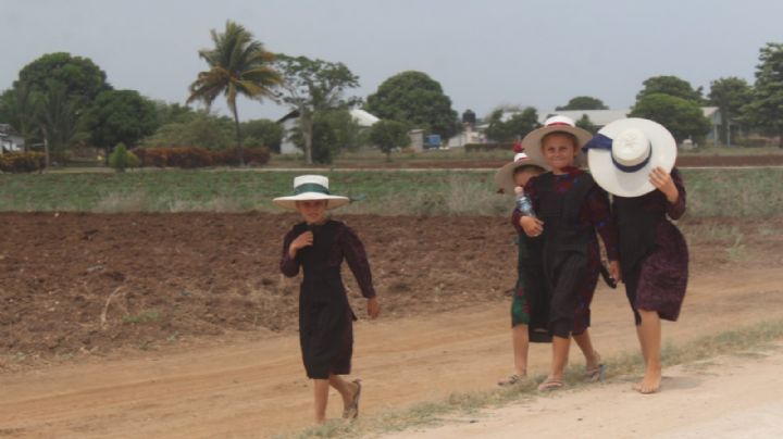 Así es el estilo de vida y trabajo de los menonitas en Quintana Roo