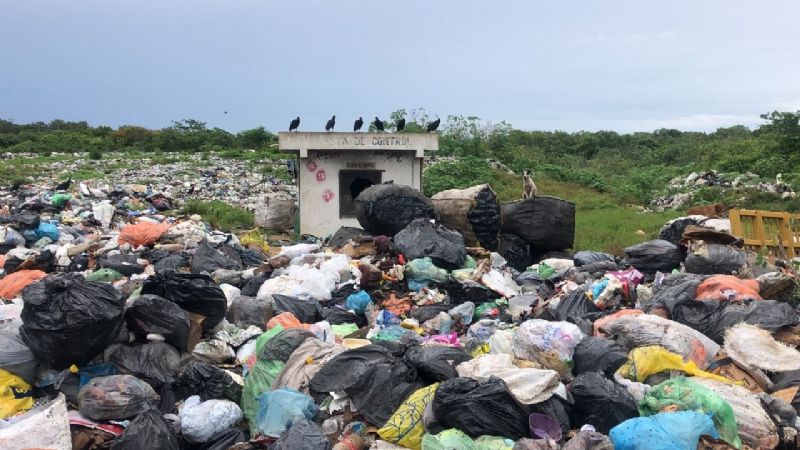 Basurero municipal de Felipe Carrillo Puerto, sin espacio para más desechos