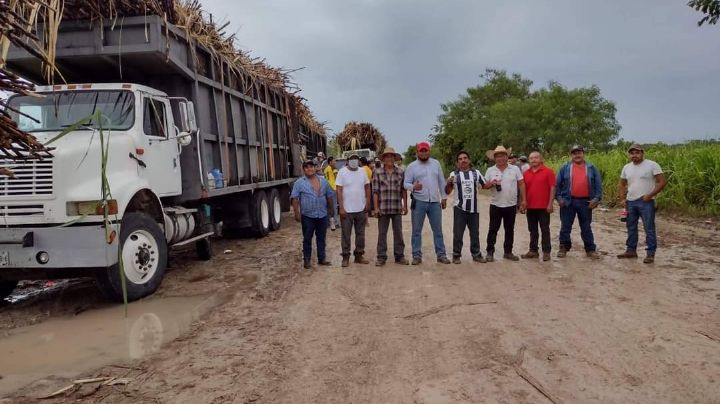 Concluye cosecha de caña de azúcar en comunidad de Álvaro Obregón, Quintana Roo