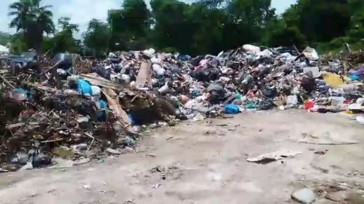 Predio es utilizado como basurero por autoridades municipales en Playa del Carmen