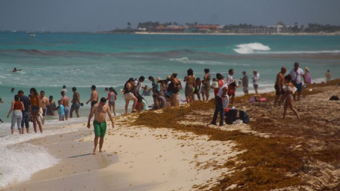 Recale de sargazo, sin afectar afluencia turística en Quintana Roo