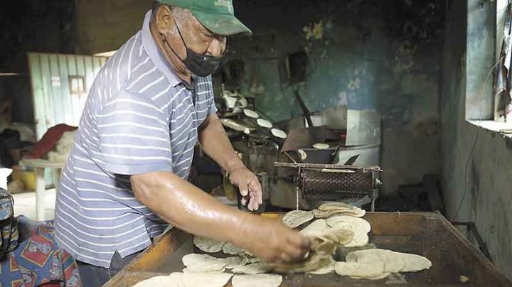 Precio de tortilla podría aumentar la pobreza alimentaria en Yucatán
