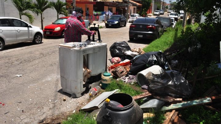 Sin cultura del reciclaje; en Mérida se generan 995 toneladas de basura cada 24 horas