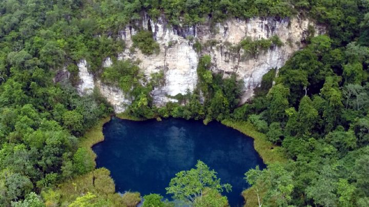 Impulsan ecoturismo en cenote Cocodrilo Dorado en Quintana Roo