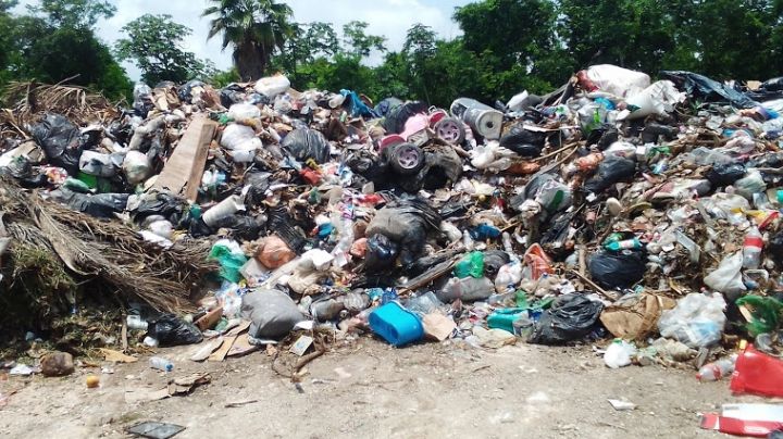 Asociación acusa de ecocida al Gobierno de Playa del Carmen por basurero clandestino