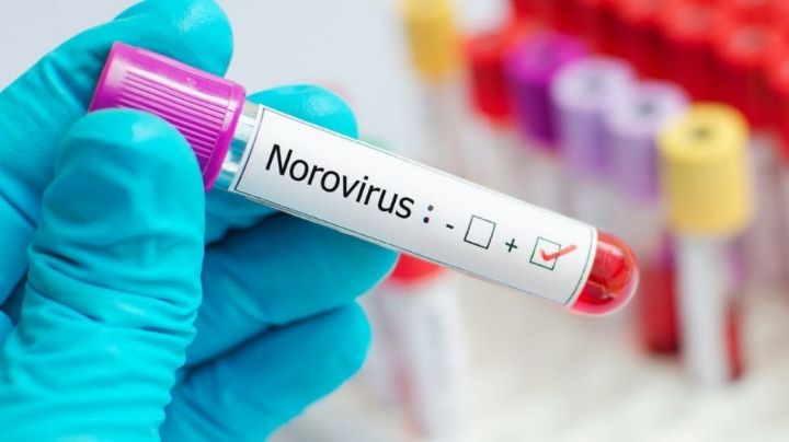 Norovirus: ¿Qué es y cuáles son sus síntomas?