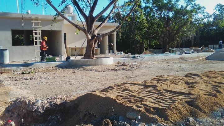 Construcción del nuevo panteón en Playa del Carmen inició sin permisos ambientales