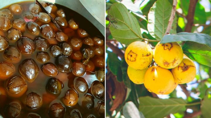 Ciricote, el fruto originario de la Península de Yucatán