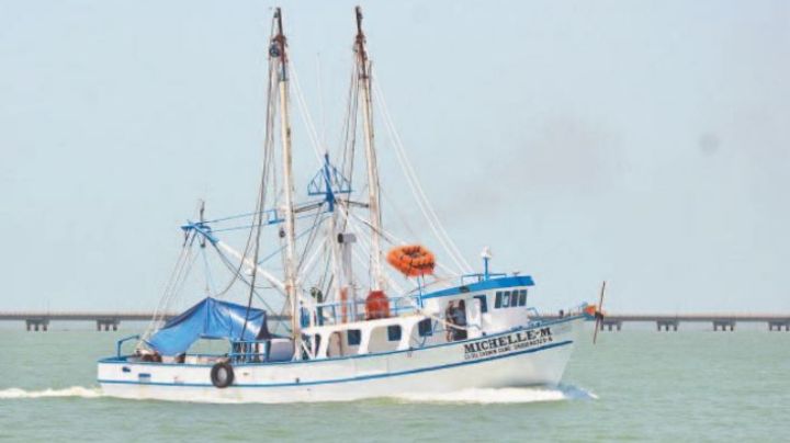 'Piratas modernos', sin freno en la Sonda de Campeche, denuncian pescadores
