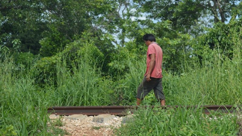 Tren Maya: Suspenden trabajos en Calkiní, Campeche, hasta que se pague el uso de suelo