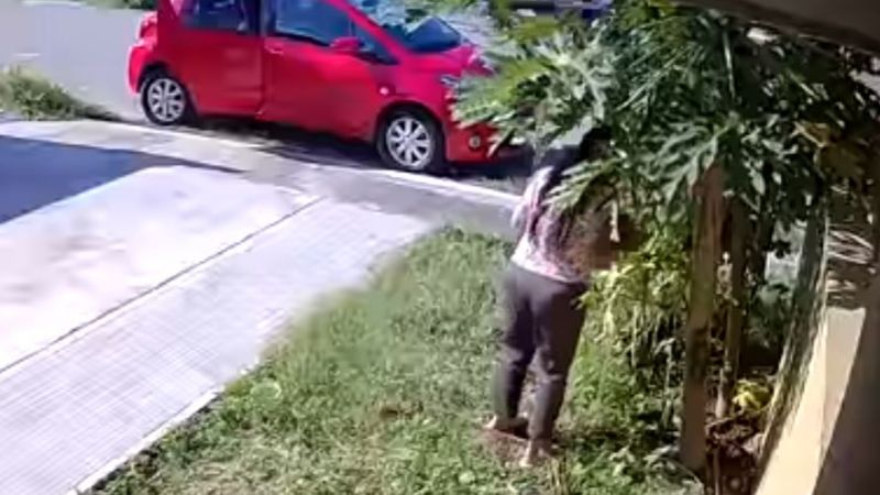 #LadyPapaya en Mérida: Mujer es captada robando frutos de una casa ajena
