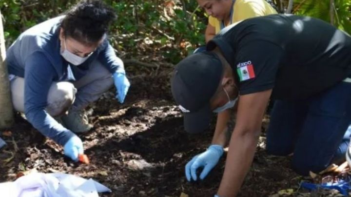 Suman 13 cadáveres encontrados en fosas clandestinas de Cancún e Isla Mujeres