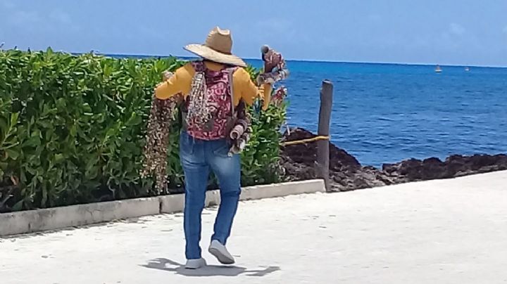 Recale de sargazo afecta a vendedores ambulantes en Playa del Carmen