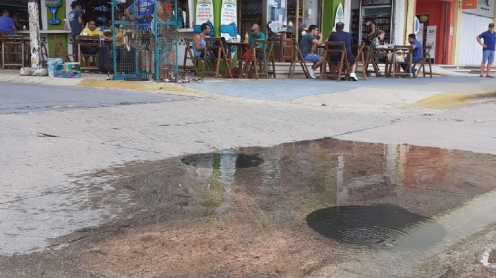 Olores de aguas negras afectan a establecimientos del malecón de Cozumel