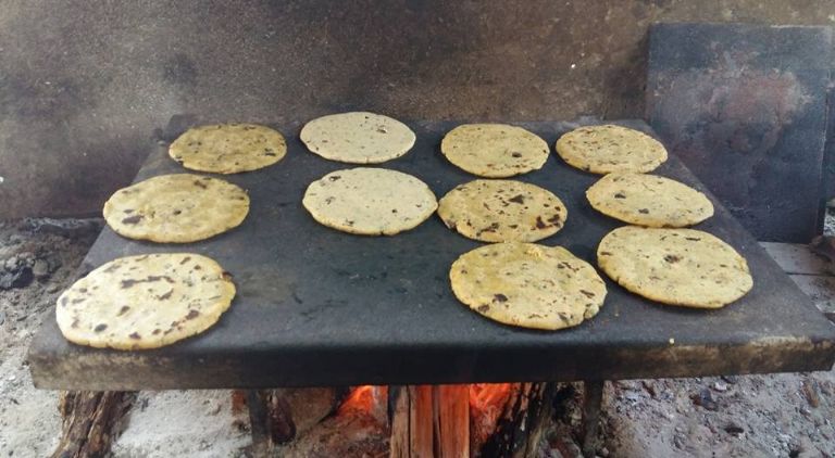 Pimitos de chicharra, un clásico de la gastronomía yucateca: FOTOS | PorEsto