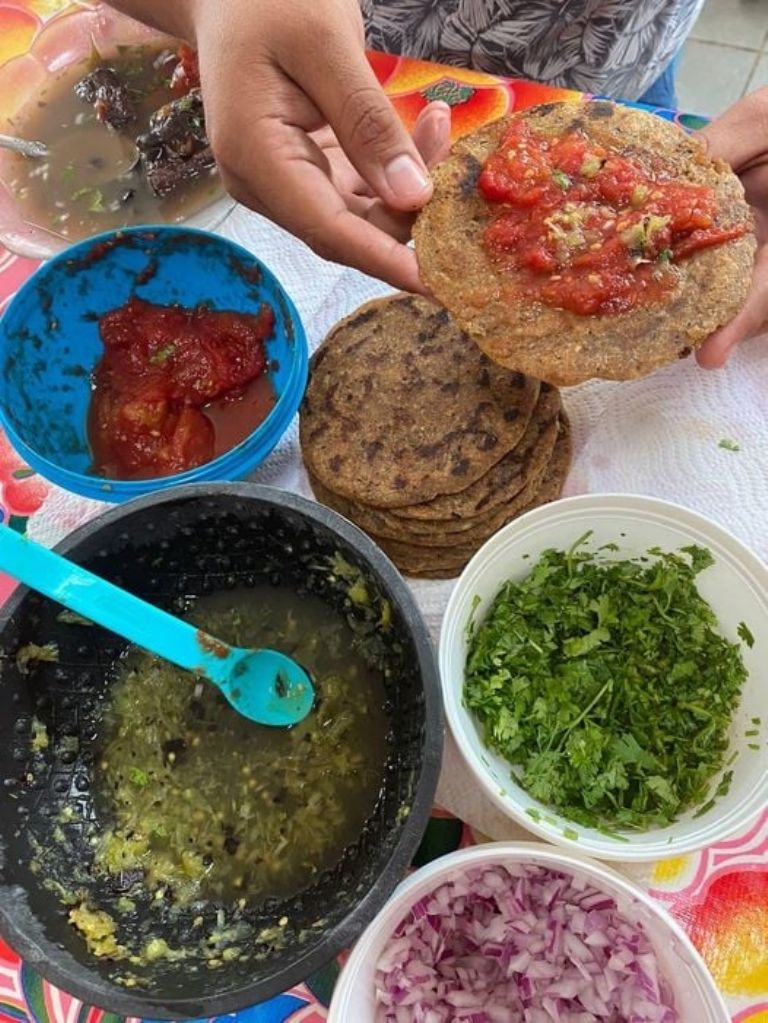 Pimitos de chicharra, un clásico de la gastronomía yucateca: FOTOS | PorEsto