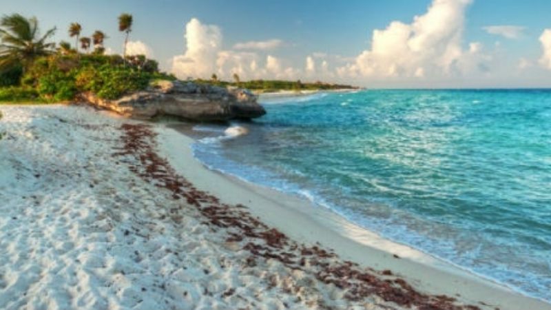 Estas son las 18 playas de Quintana Roo que lucen sin sargazo