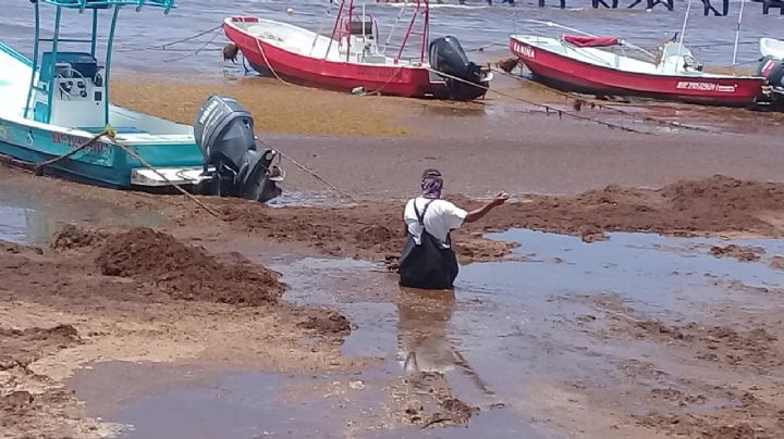 Sargazo da 'tiro de gracia' a pescadores de Playa El Recodo en Solidaridad