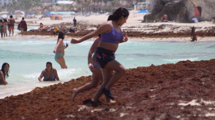 Estas son las siete playas con menos sargazo en Cancún