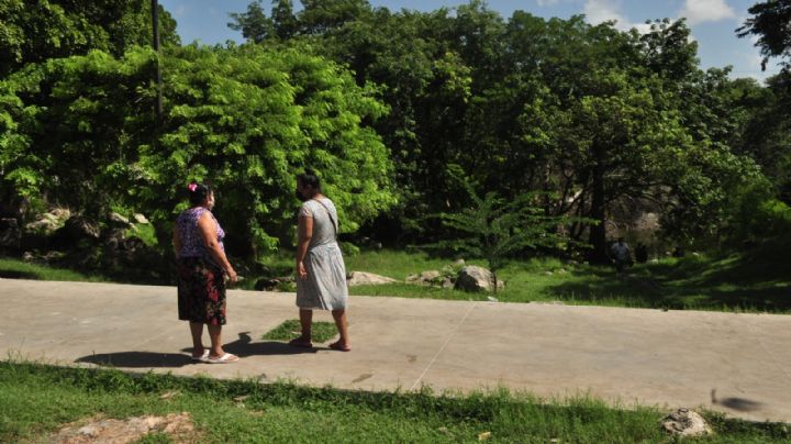 Vecinos de San José Tecoh piden rellenar parque hundido; es un peligro, dicen