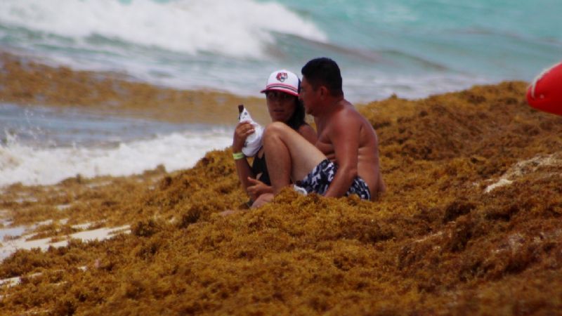 ¿Cuáles son las playas con más sargazo en Quintana Roo?