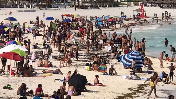 Quintana Roo: Estas son las 27 playas que están libres de sargazo