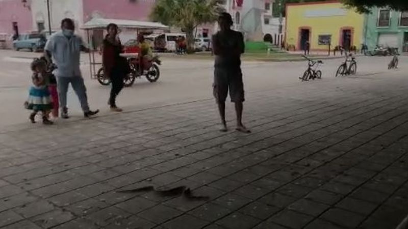 Boa se 'pasea' por el Centro Histórico de Hopelchén, Campeche: VIDEO