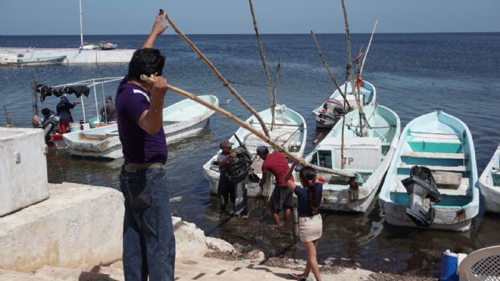 Bancampeche sólo libera nueve de 15 créditos a pescadores