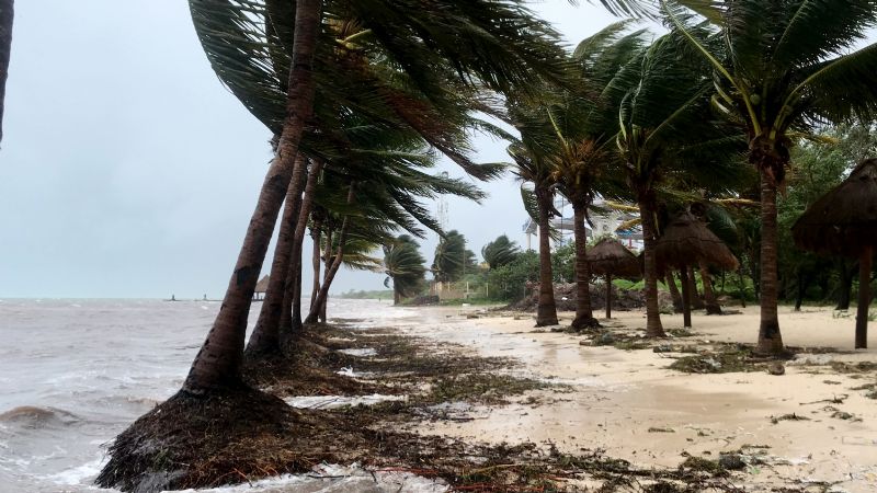Quintana Roo: Zona de baja presión podría convertirse en la Tormenta Alex; síguela en vivo