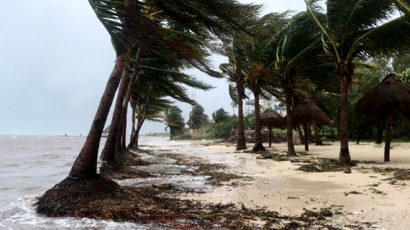 Prevén aumento de actividad ciclónica en septiembre y octubre en el Mar Caribe