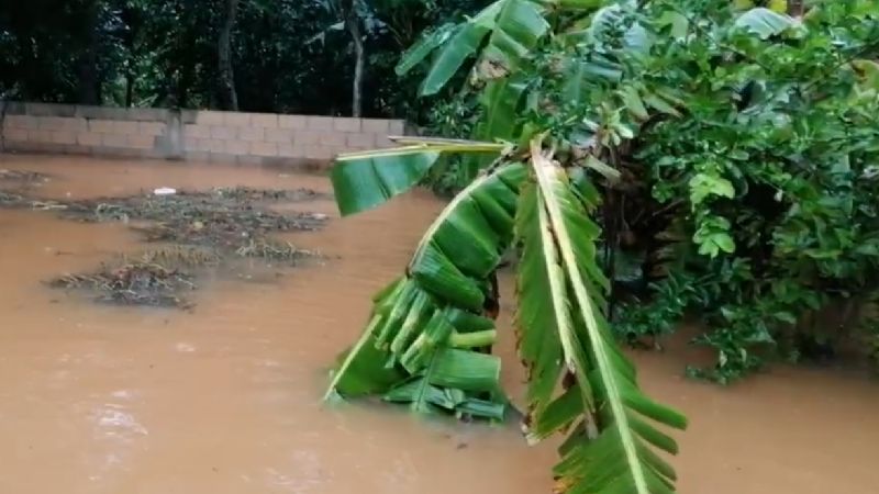 Por Grace, se deslava cerro en Tekax, Yucatán; inunda casas: VIDEO