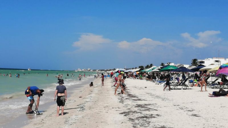 Playas de Yucatán, calificadas como limpias y aptas para disfrutar en Semana Santa