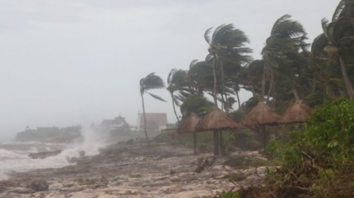 Tormenta Tropical Larry se forma en el Atlántico: Sigue su trayectoria en vivo