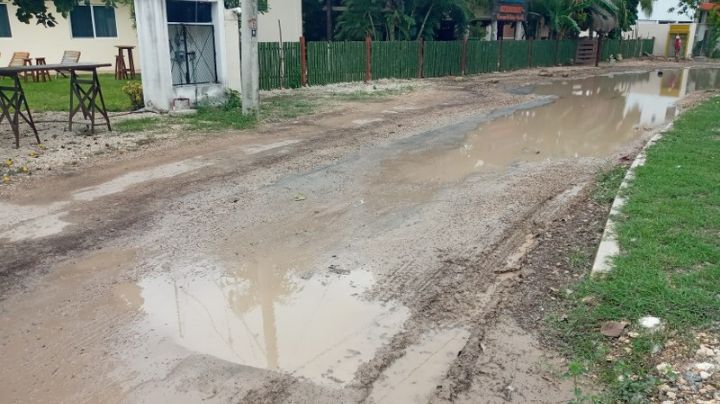 "Cráteres" carreteros aquejan a empresarios de la Costera en Bacalar